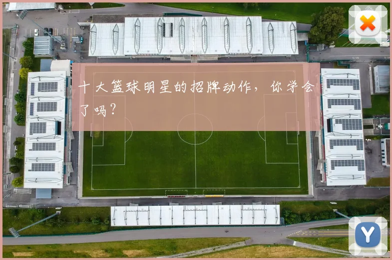 十大篮球明星的招牌动作,你学会了吗?